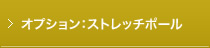 オプション：ストレッチポール