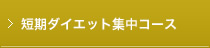 短期集中コース